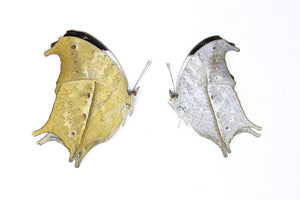 1 x Sexed Pair - Clouded Mother of Pearl | Protogoniomorpha anacardii duprei | A1 Unmounted Specimens