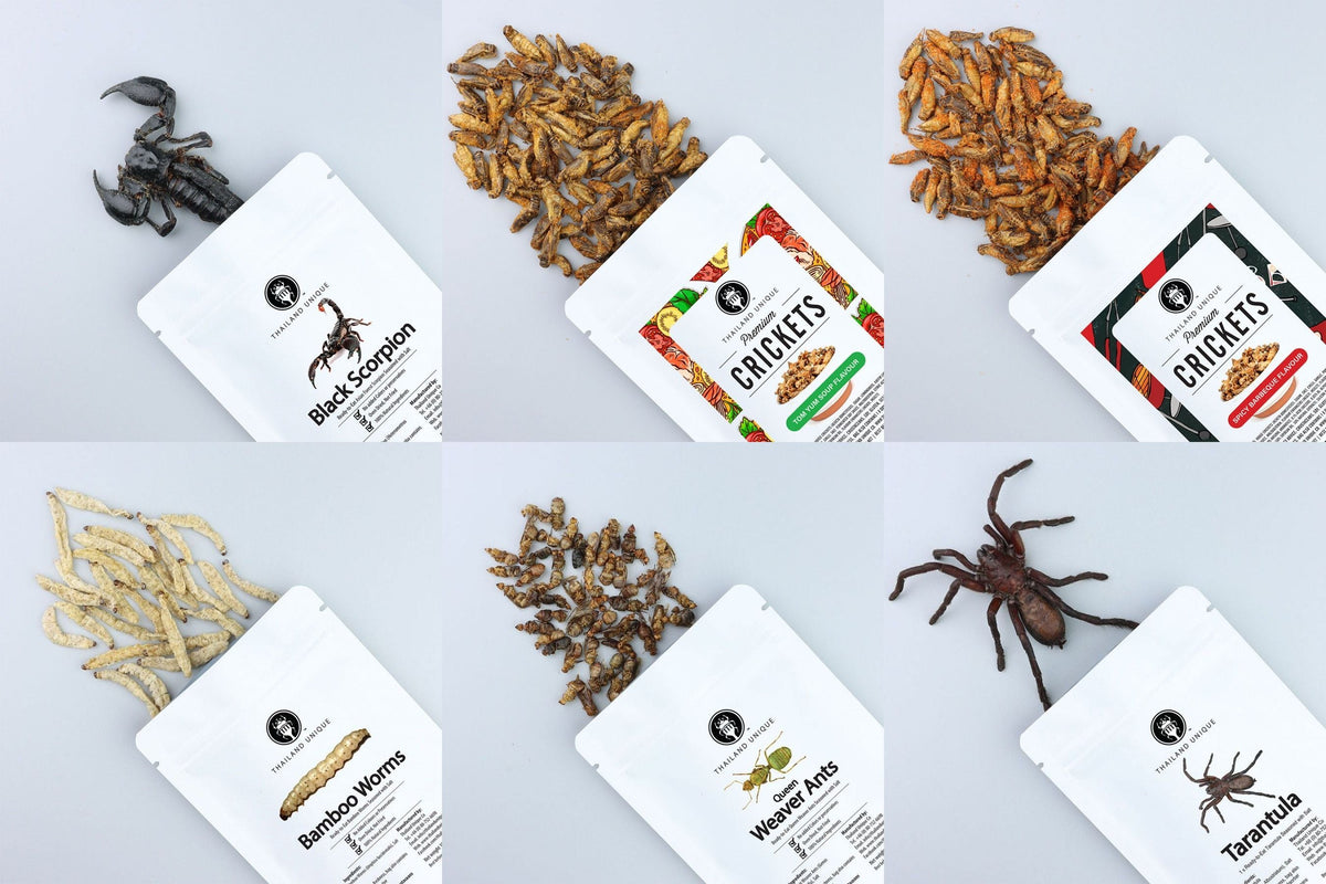 3 Edible Insects Edible Bugs, Edible Insects, Unique & Unusual Edible Gifts, Free ...