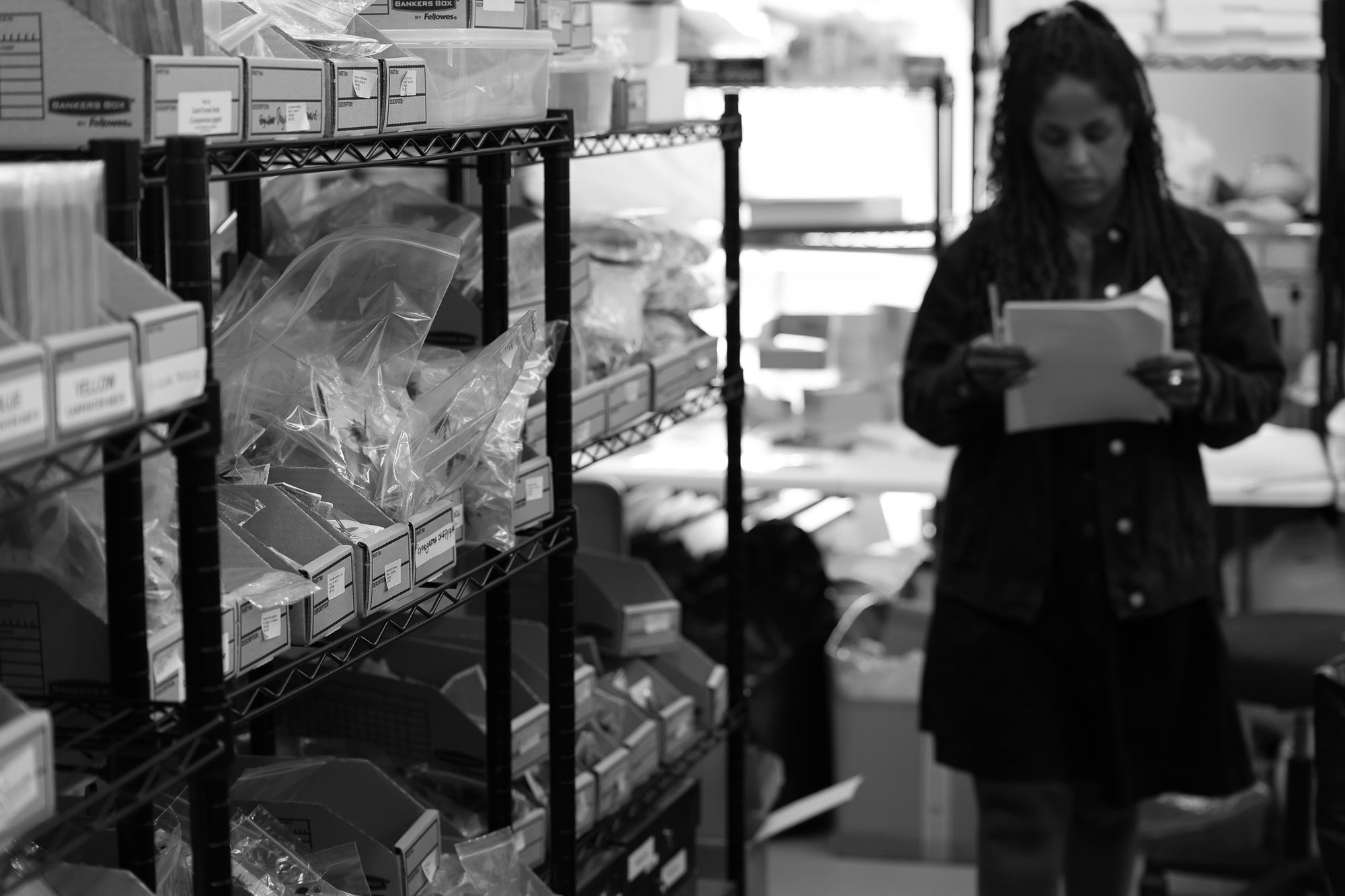 Assorted Beetles Unmounted Specimens | Bulk Packs 10-100 | A1 Quality