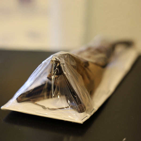 吊り下げ熱帯コウモリ | 非CITES剥製標本 | BugsDirect