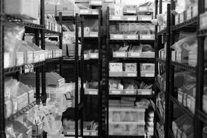 Assorted Beetles Unmounted Specimens | Bulk Packs 10-100 | A1 Quality