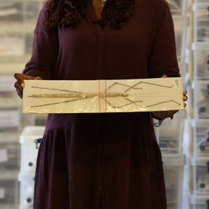 Nesiophasma giganteum Giant Stick Insect Specimen | A1 Quality | Dry-Preserved PHASMATODEA
