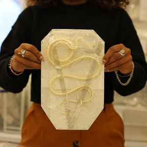 Rat Snake CURVED COILED SKELETON (Ptyas korros) A1 Specimen (Non-CITES) 25cm