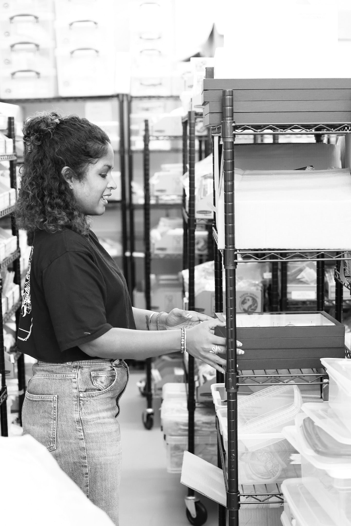 Assorted Beetles Unmounted Specimens | Bulk Packs 10-100 | A1 Quality