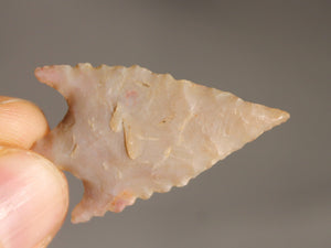 Neolithic Agate Flint Barbed Arrowhead – 3.8 cm | Ténéré, Mali