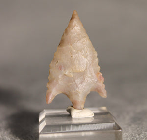 Neolithic Agate Flint Barbed Arrowhead – 3.8 cm | Ténéré, Mali