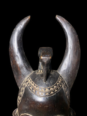 Yaoure Passport Mask with Hornbill | Côte d'Ivoire | 52cm | Carved Wood