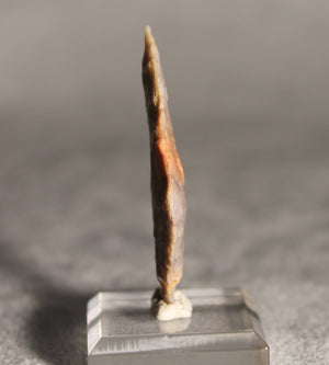 Neolithic Multicolour Agate Flint Leaf-Shaped Arrowhead – 4.9 cm | Ténéré, Mali