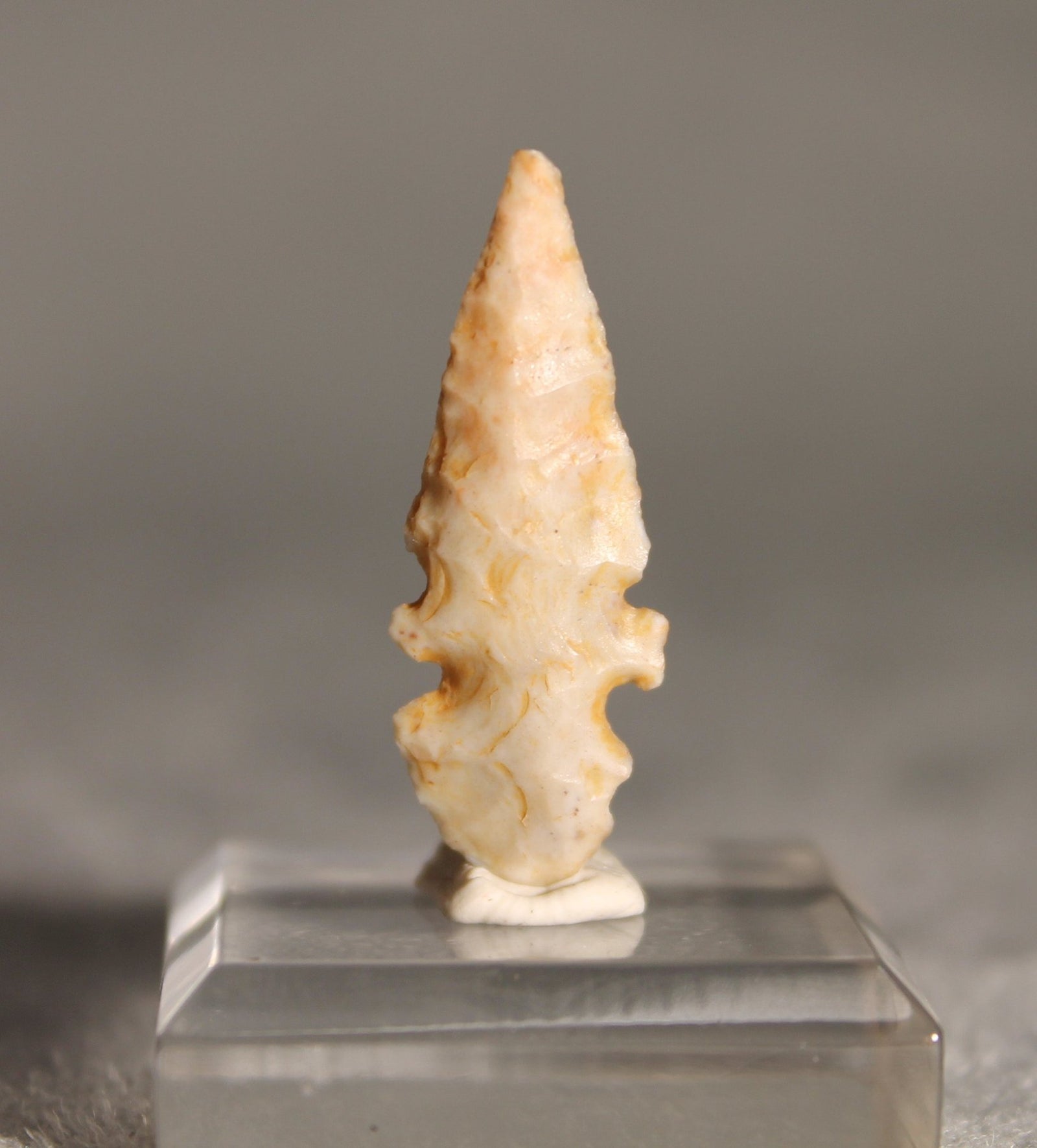 Neolithic Agate Flint Foliate Arrowhead – 3 cm | Ténéré, Mali