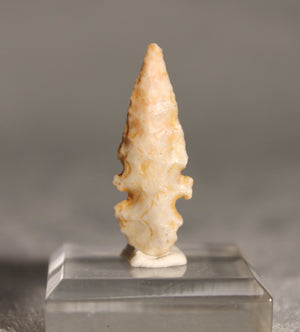 Neolithic Agate Flint Foliate Arrowhead – 3 cm | Ténéré, Mali