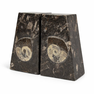 Goniatite Fossil Bookends | Moroccan Stone Wedge Pair | 10cm