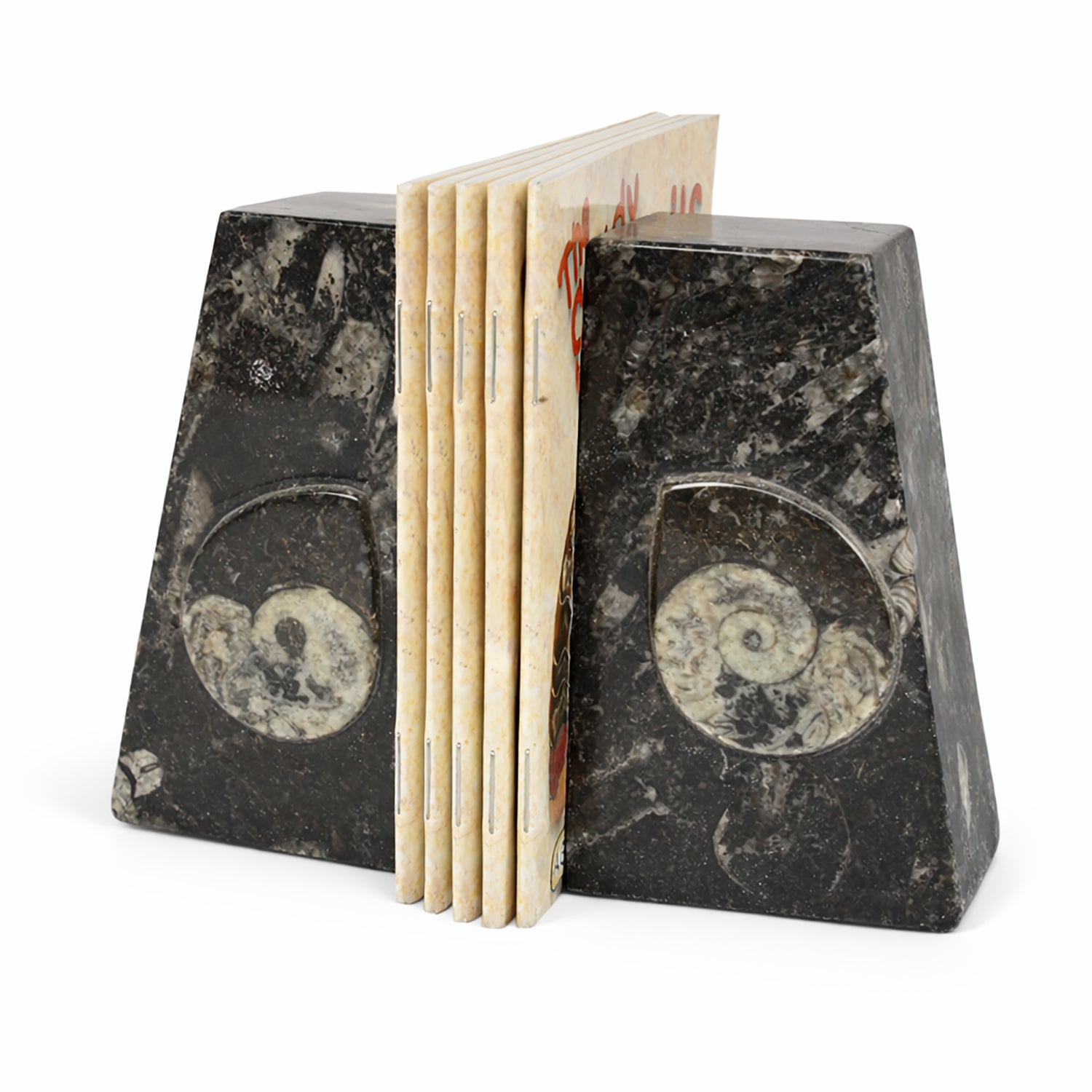 Goniatite Fossil Bookends | Moroccan Stone Wedge Pair | 10cm