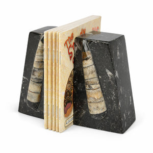 Orthoceras Fossil Bookends | Moroccan Stone Wedge Pair | 10cm