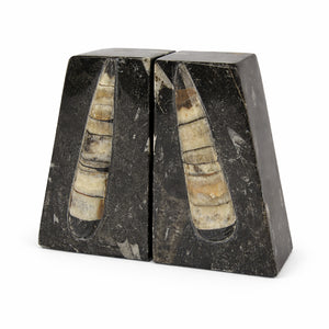 Orthoceras Fossil Bookends | Moroccan Stone Wedge Pair | 10cm