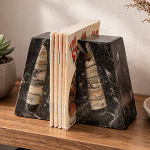 Orthoceras Fossil Bookends | Moroccan Stone Wedge Pair | 10cm