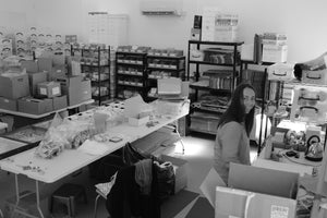 Assorted Beetles Unmounted Specimens | Bulk Packs 10-100 | A1 Quality