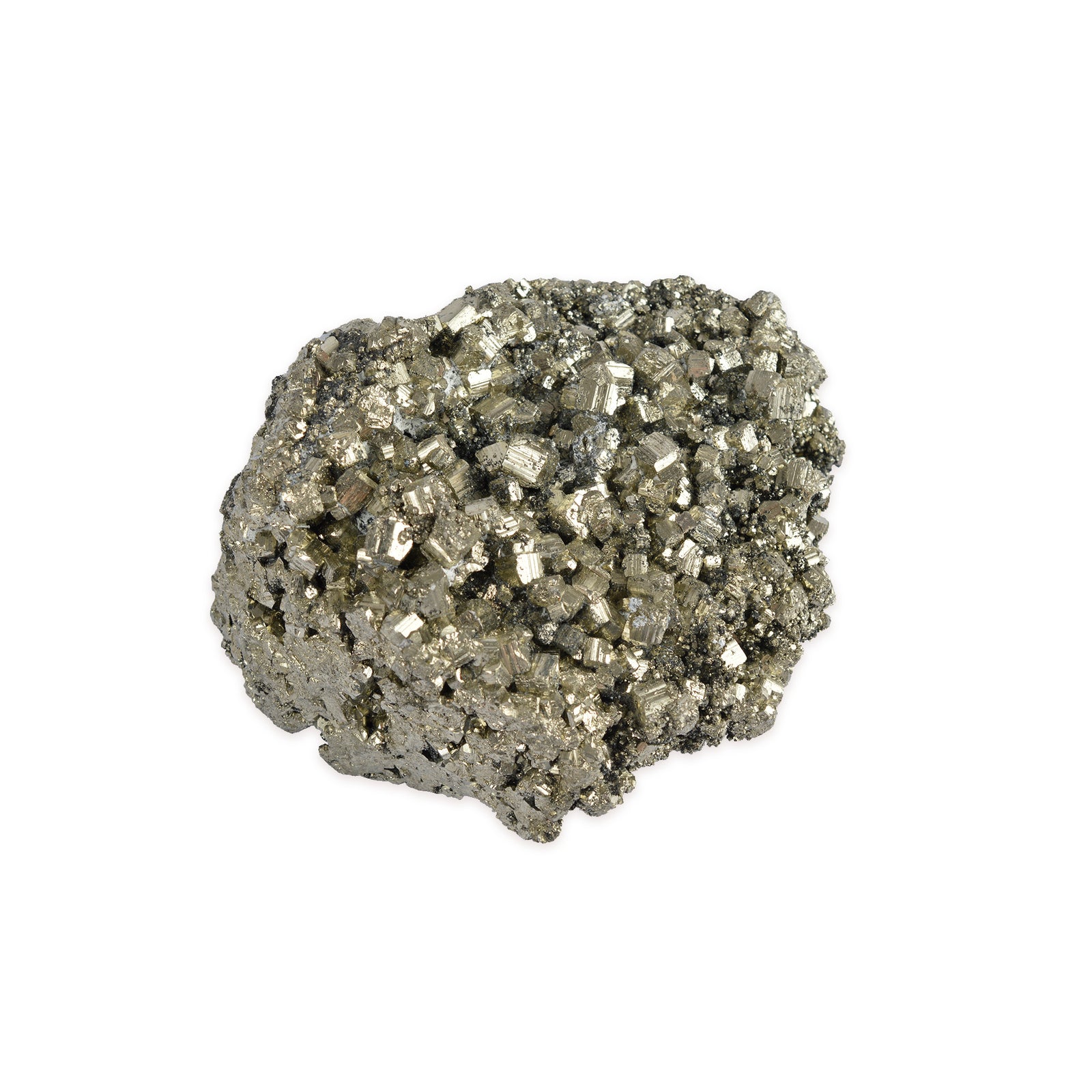 Pyrite Cocada – A Grade Specimen (Extra Large)