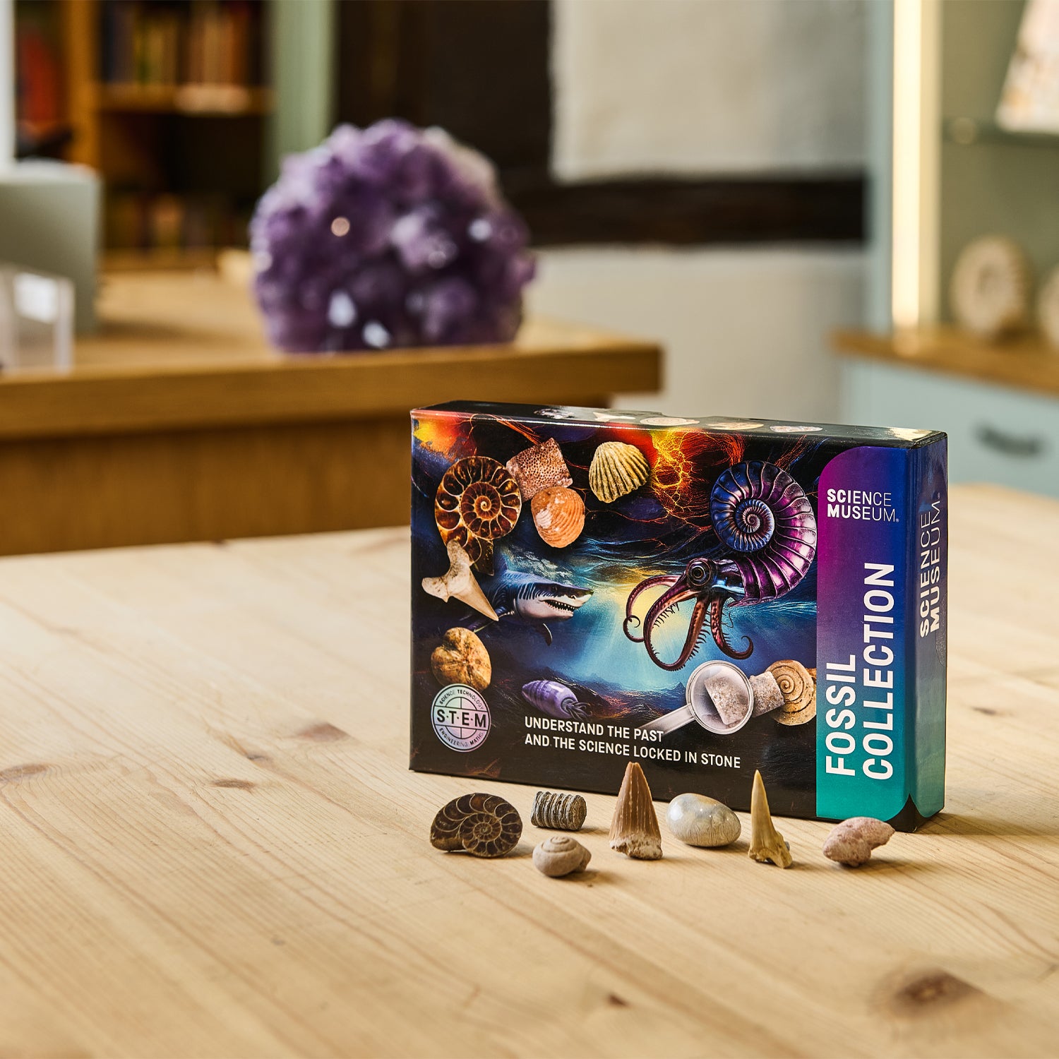 Science Museum Fossil Collection Kit | 15 Genuine Specimens
