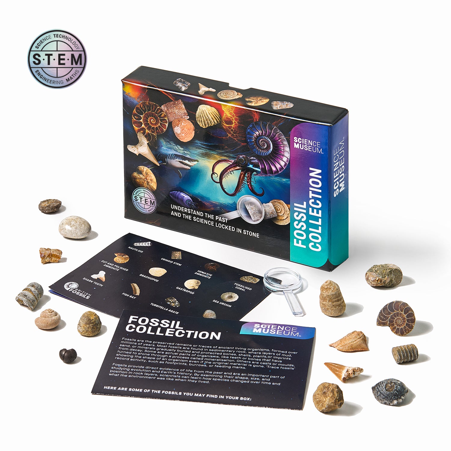 Science Museum Fossil Collection Kit