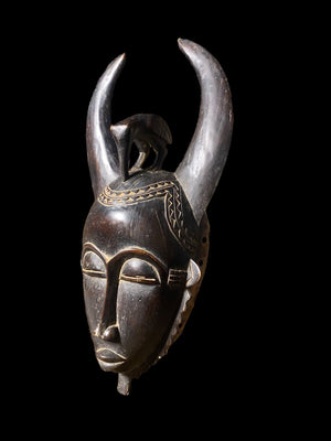 Yaoure Passport Mask with Hornbill | Côte d'Ivoire | 52cm | Carved Wood