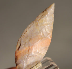 Neolithic Multicolour Agate Flint Leaf-Shaped Arrowhead – 4.9 cm | Ténéré, Mali