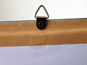 Papilio paris - Paris Peacock Swallowtail Butterfly Framed Specimen 8x7"