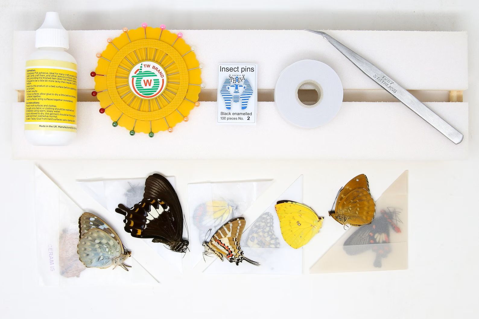 Complete Butterfly Setting Kit | Professional Lepidoptera Mounting Equipment & Specimens