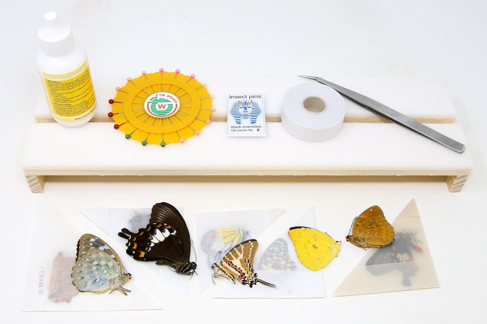 Butterfly Setting Mounting Kit | Butterfly Lepidoptera Entomology Equipment
