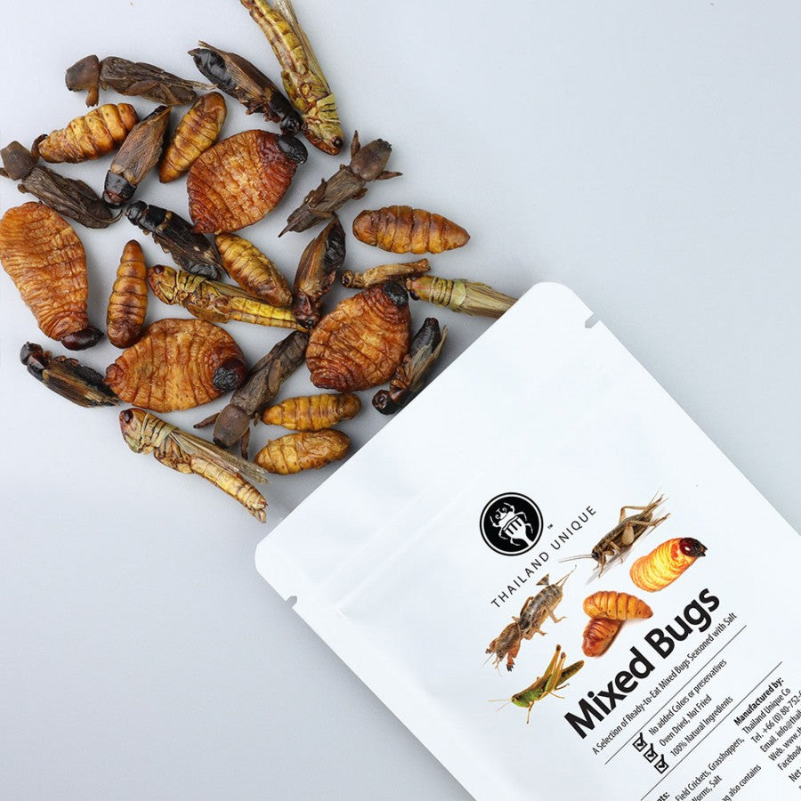 3 Edible Insects Edible Bugs, Edible Insects, Unique & Unusual Edible Gifts, Free ...