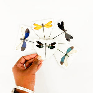 25 x Various Assorted Damselflies, A1 Spread Entomology Specimens, Wholesale