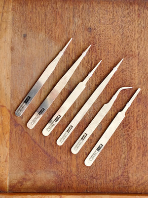 Professional Entomology Tool Set – Stainless Steel Forceps & Setting Needle for Specimen Mounting