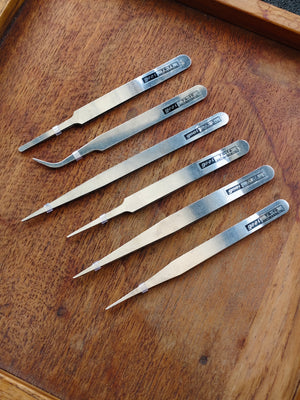 Professional Entomology Tool Set – Stainless Steel Forceps & Setting Needle for Specimen Mounting