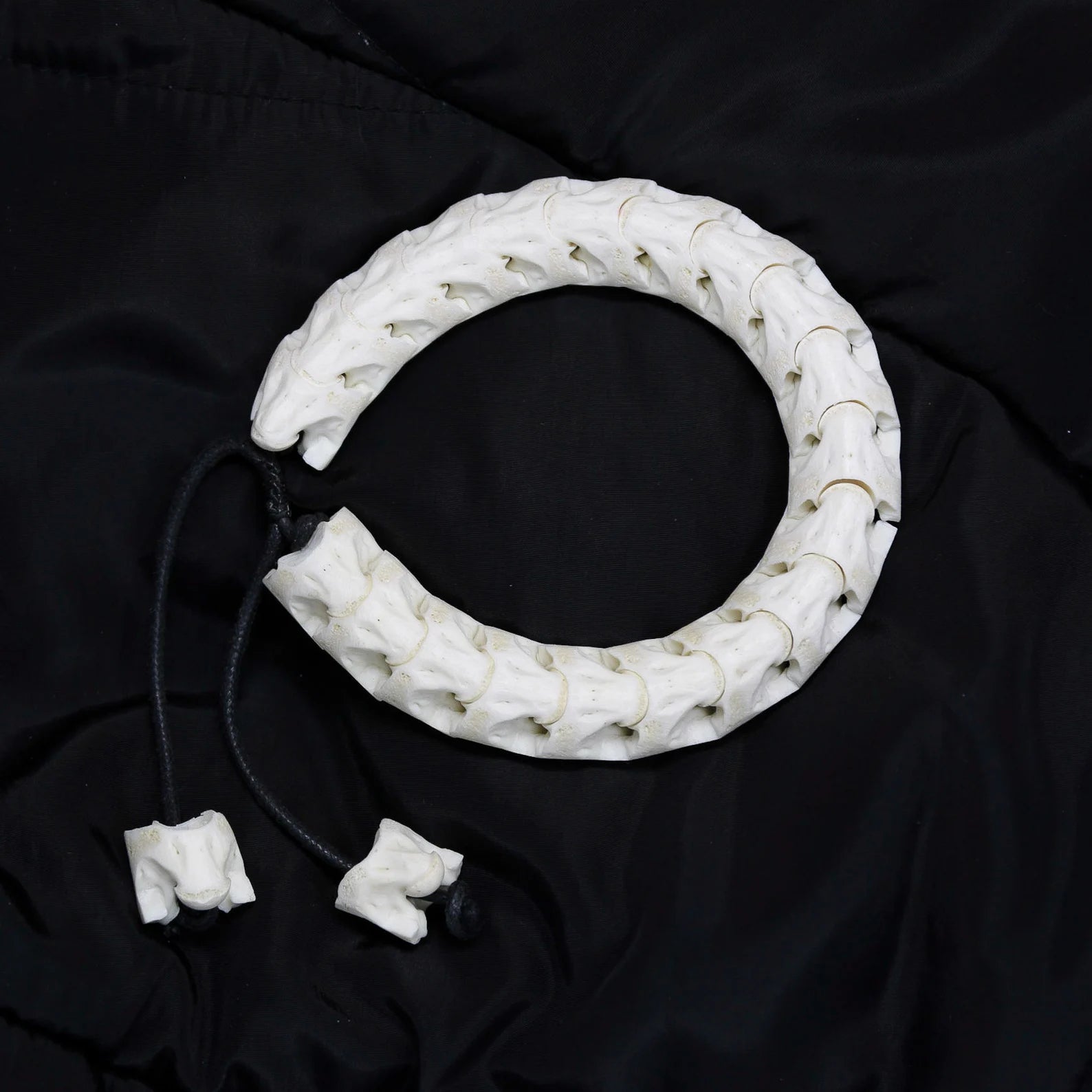 SNAKE BONE Bracelet Adjustable Size, TAXIDERMY Vertebrae Jewellery Accessories
