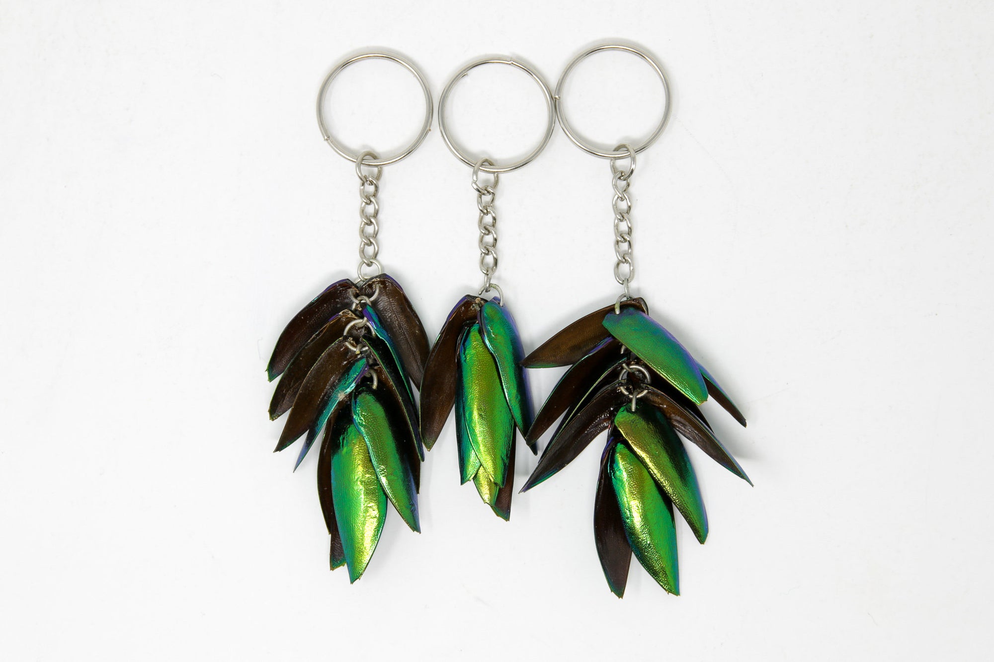 Pack of 3 Jewel Beetle Keyrings Keychains - Real Metallic Green Beetle Wings Elytra