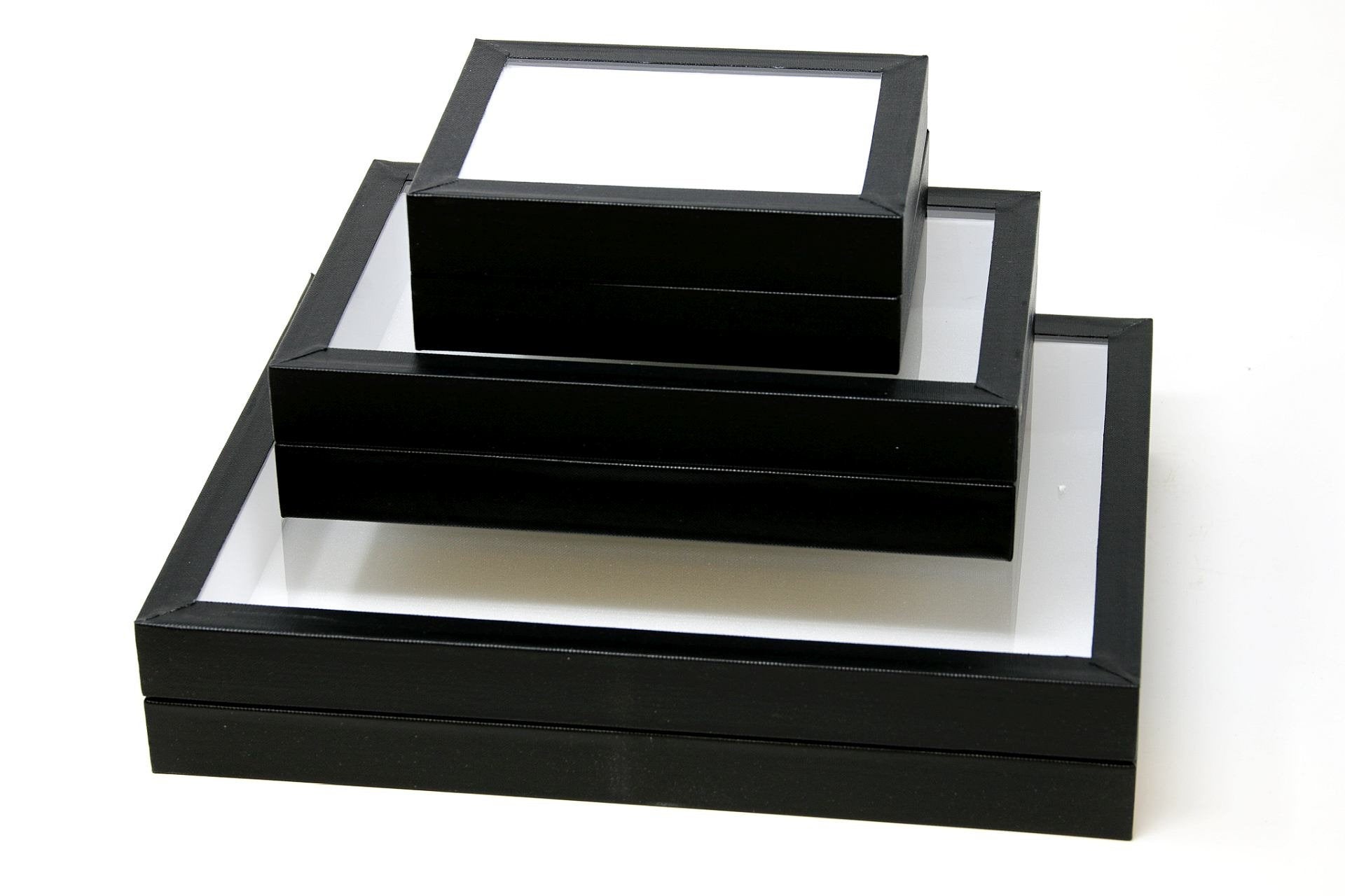 Empty Box Frame Entomology Butterfly Display Case with Glass Lid (Black ...