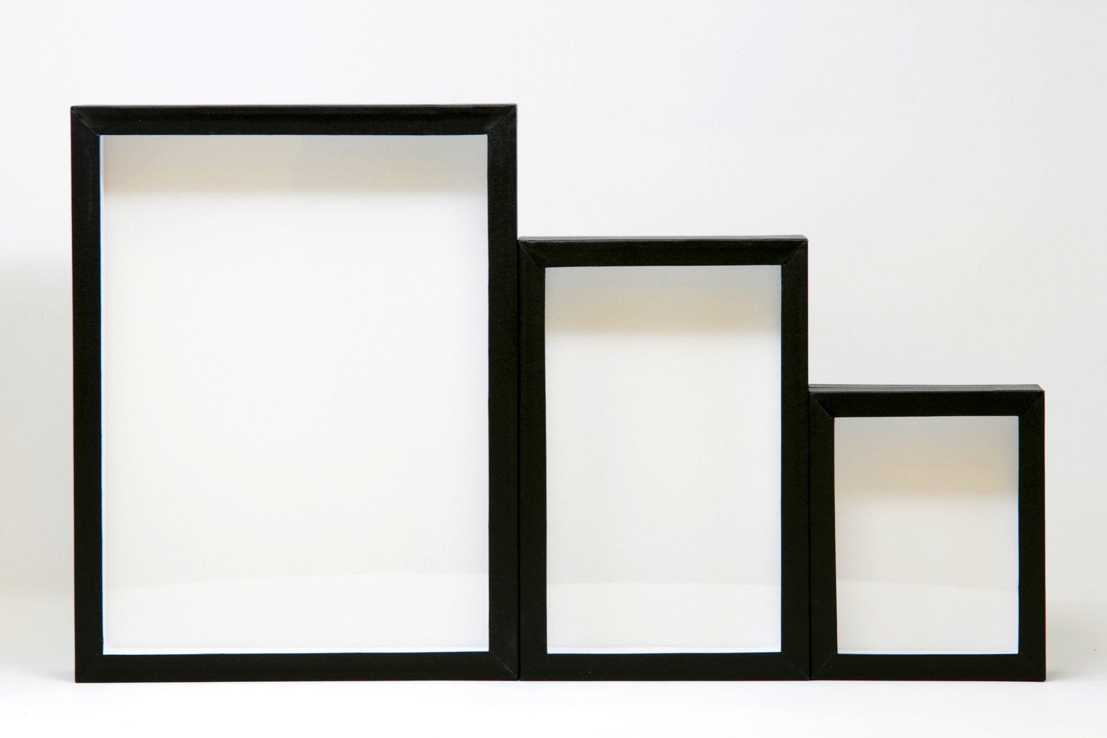 Entomology Box Frame Butterfly Display Case with Glass Lid