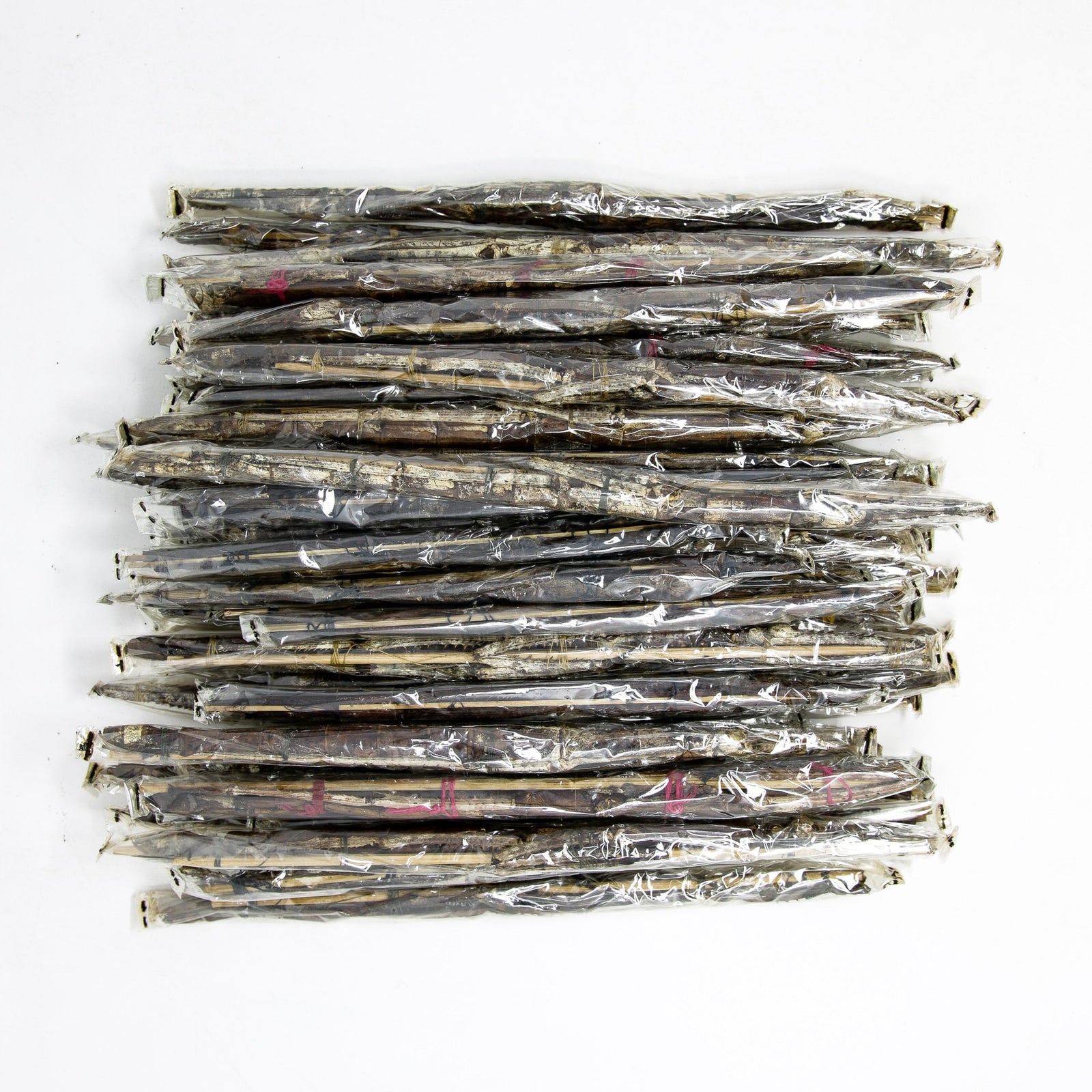 Pack of 10 Giant Asian Stick Bugs, Winged Stick Insects | Tirachoidea westwoodi +/- 200mm A1 | Entomology Specimens