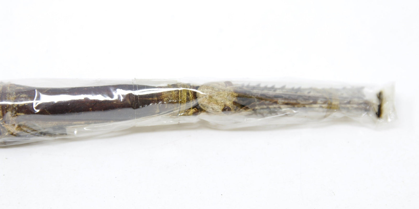 2 x Tirachoidea westwoodi | Giant Stick Insects | Female +/- 200mm | A1 Unmounted Specimens