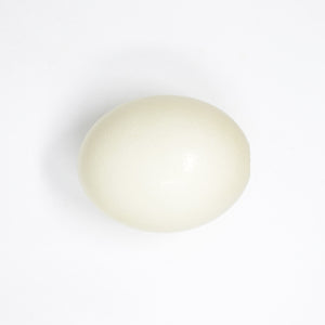 Ostrich Egg XL Top Grade, Natural History Art, Taxidermy