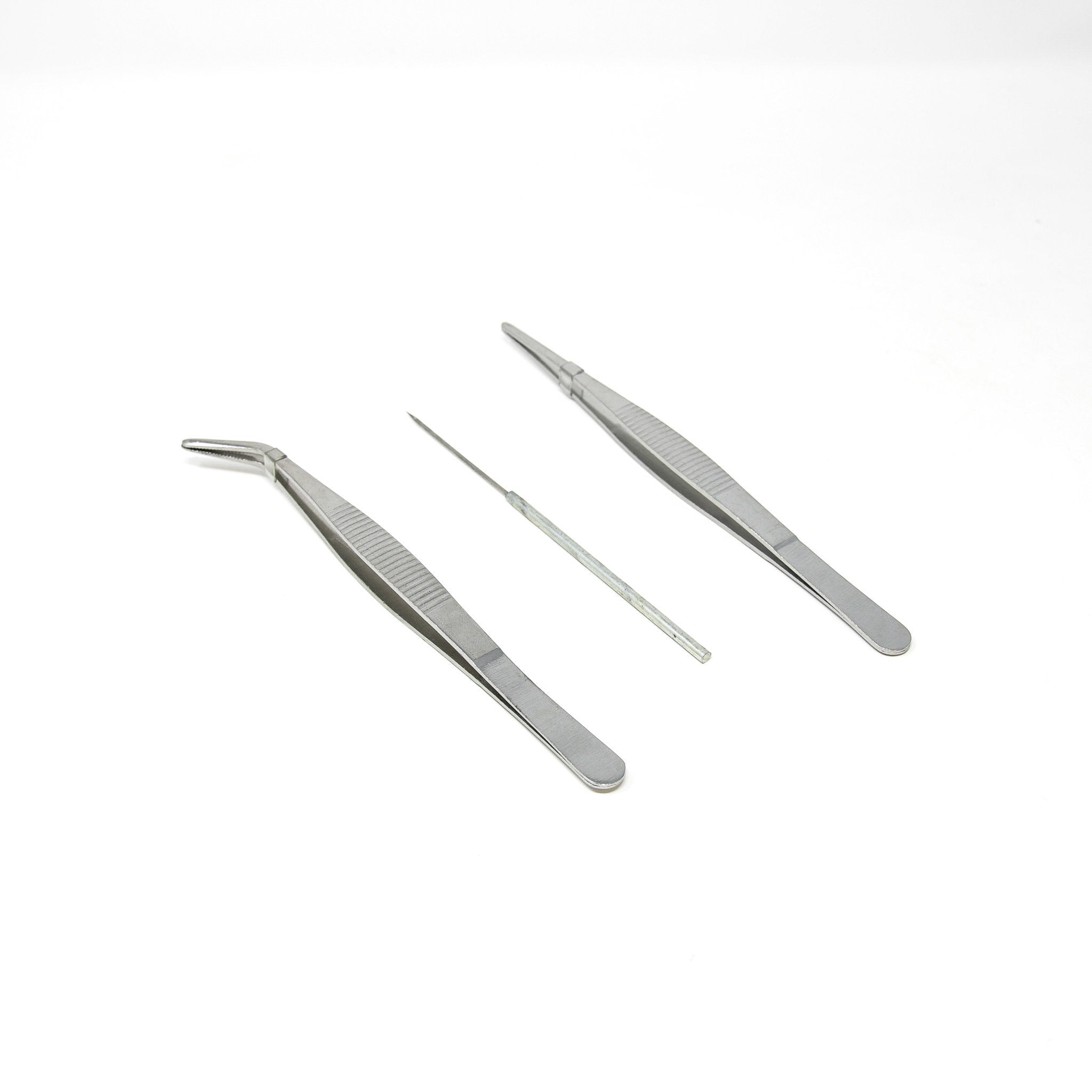 Insect Pins, Sizes 000 -7 | Entomology Pins to Mount Insects | BugsDir ...