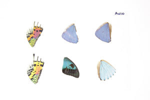 Laminated Sheet of Real Butterfly Wings | A5 Glossy 80 mic 154 x 216mm #AW10