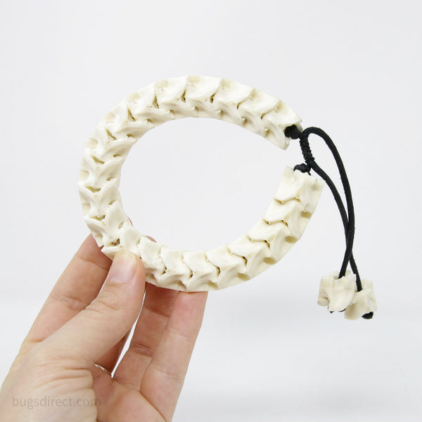 SNAKE BONE Bracelet Adjustable Size, TAXIDERMY Vertebrae Jewellery Acc