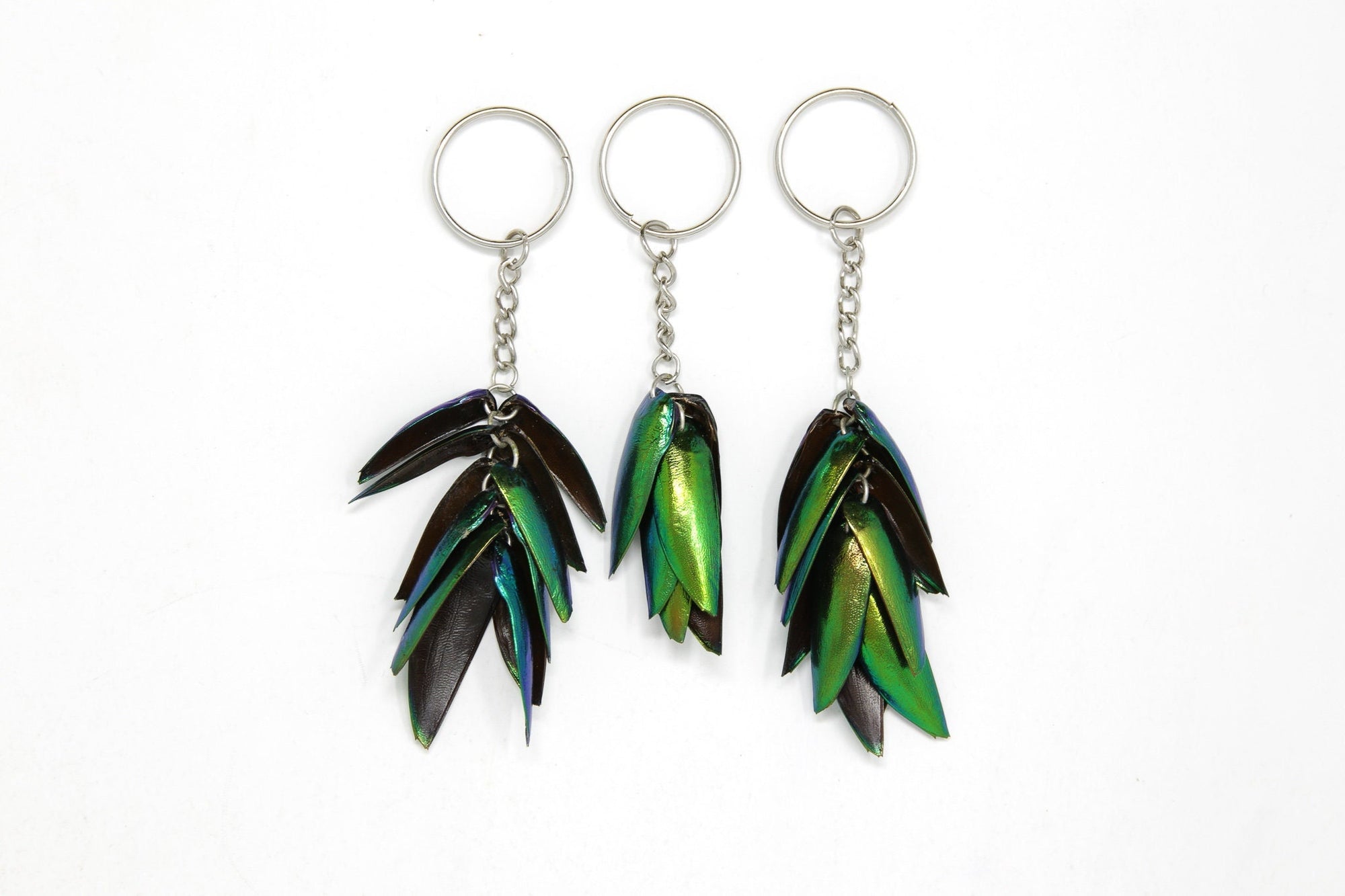 THREE (3) Jewel Beetle Keyrings - Real Metallic Green Beetle Wings Elytra Taxidermy Art Jewelry