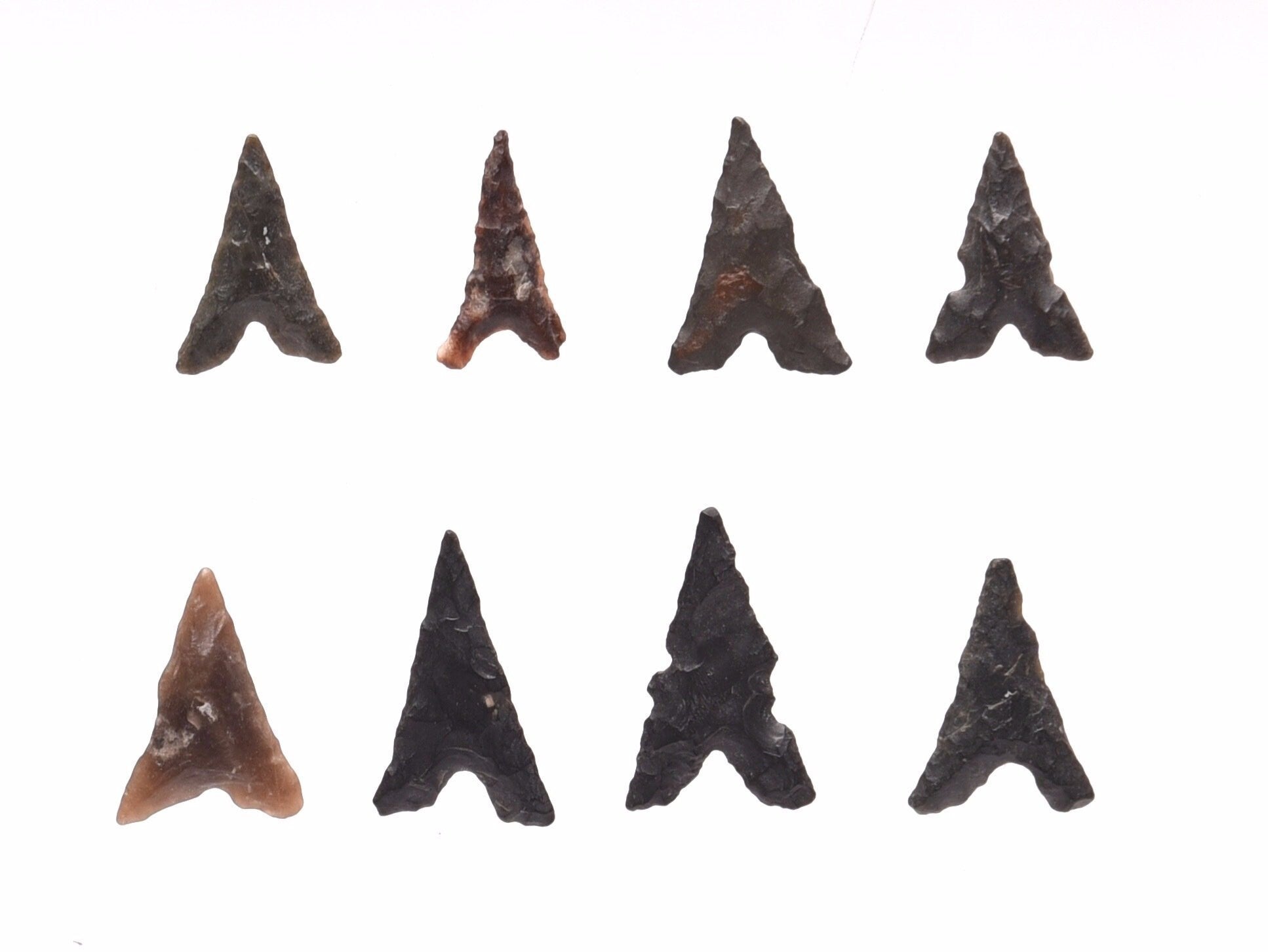 Real Neolithic Flint 8 Arrowheads | 15-19mm | 4000-6000 BCE | Natural History Specimen